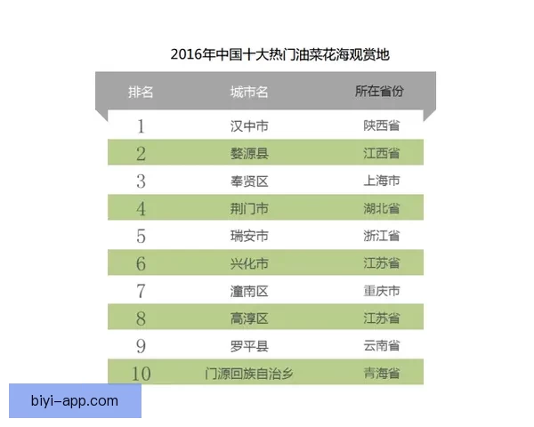世界杯竞猜盘口预测技巧与数据分析全面指南助你提高胜率稳定盈利